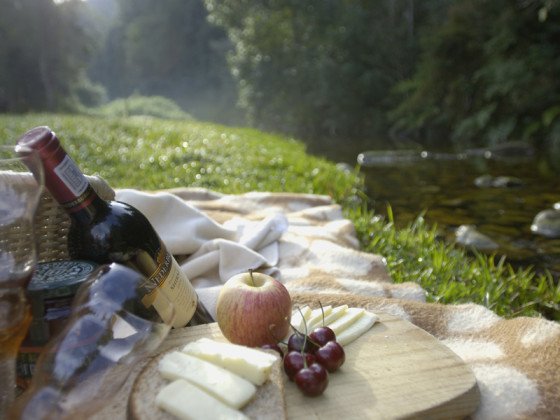 Picnic by secluded Forest Stream.jpg