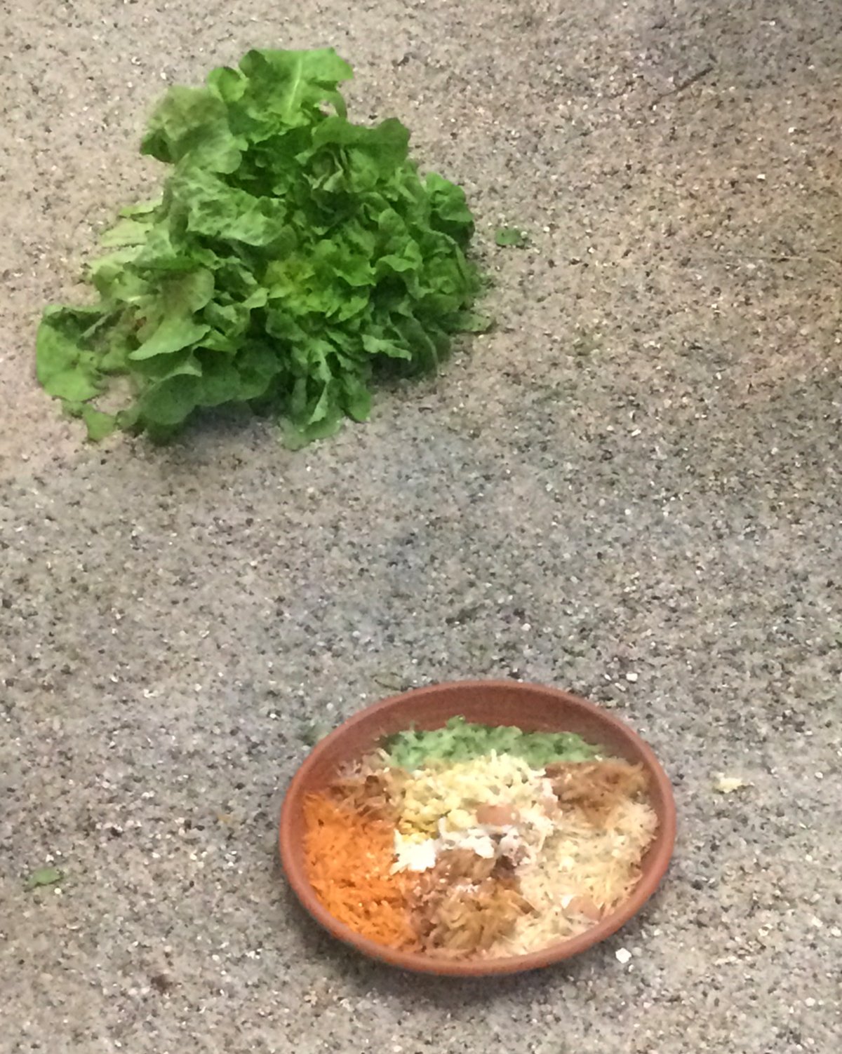 Utolsó versenyzőnk kissé homályos a rossz látási viszonyok miatt, de azért tisztán látszik, hogy nem csak esetlegesen, hanem komoly tervezőmunka után kerültek a vitamin és rostdús zöldségek a cserépedénybe.