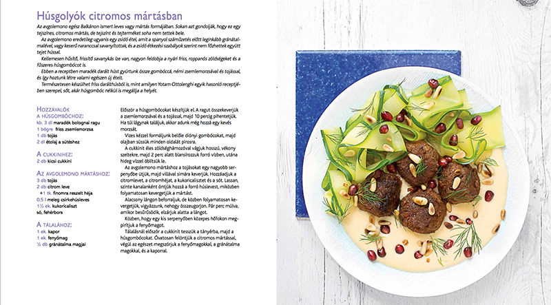 kepernyofoto-2016-11-10-19-18-22